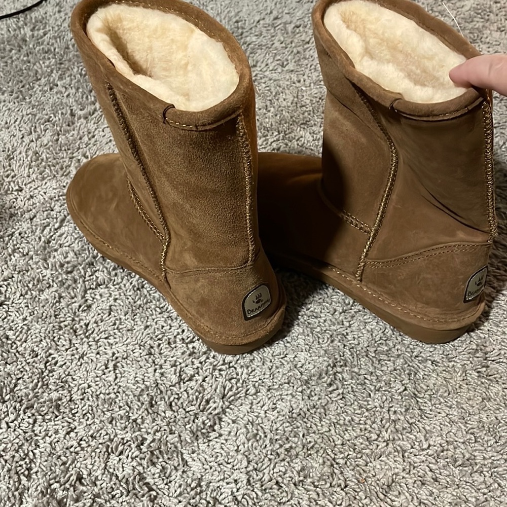 Brown bear paw